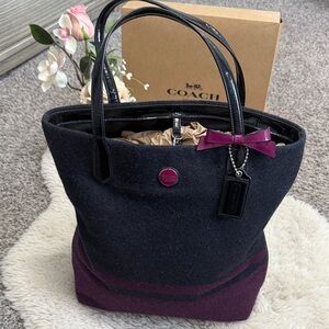 ✨ Coach Heritage Wool Stripe Tote✨